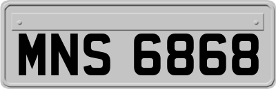 MNS6868