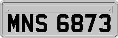 MNS6873