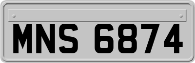 MNS6874