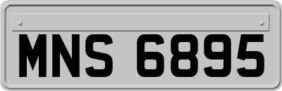 MNS6895