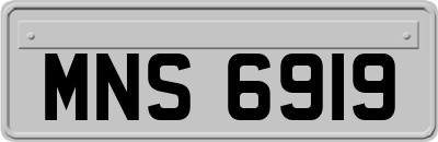 MNS6919