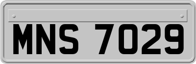 MNS7029