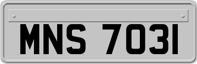 MNS7031