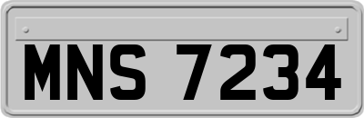 MNS7234