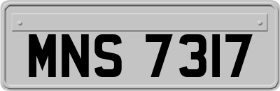 MNS7317