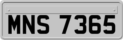 MNS7365
