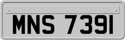 MNS7391