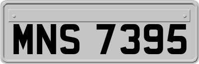 MNS7395