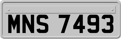 MNS7493