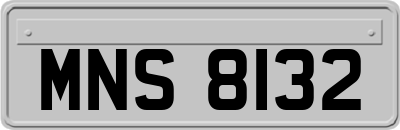 MNS8132