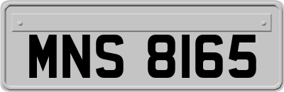 MNS8165