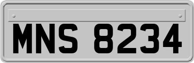 MNS8234