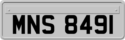 MNS8491