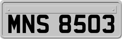 MNS8503
