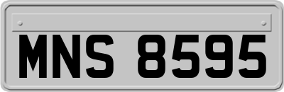 MNS8595