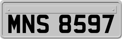 MNS8597