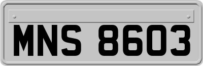 MNS8603