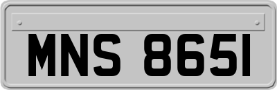 MNS8651