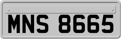 MNS8665