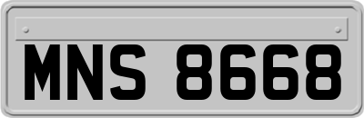 MNS8668
