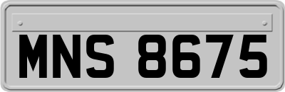 MNS8675