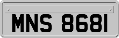 MNS8681