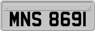 MNS8691