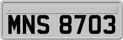 MNS8703