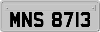 MNS8713