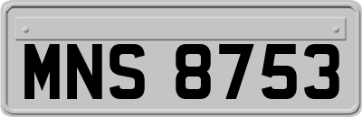 MNS8753