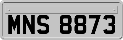 MNS8873