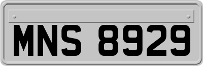 MNS8929