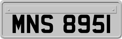 MNS8951