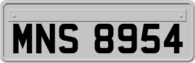 MNS8954
