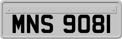 MNS9081