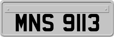 MNS9113