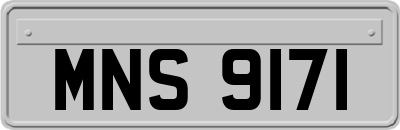 MNS9171