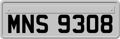 MNS9308