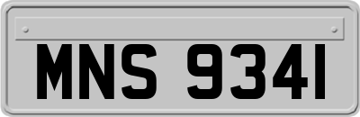 MNS9341