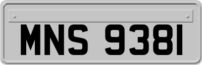 MNS9381
