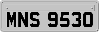MNS9530