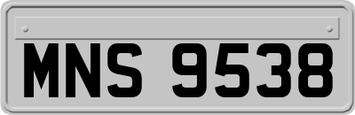 MNS9538