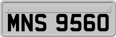 MNS9560