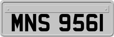 MNS9561