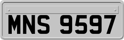 MNS9597