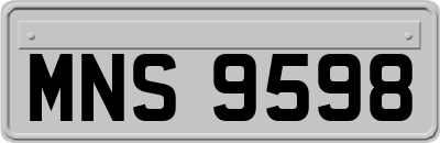 MNS9598
