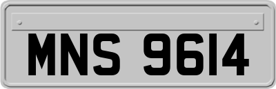 MNS9614