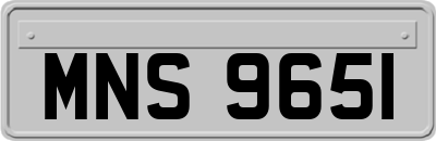 MNS9651