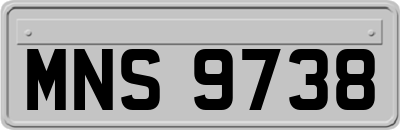 MNS9738