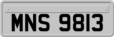 MNS9813